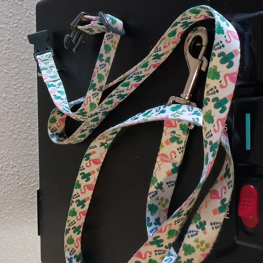 Small Dog Accessory Set Of 17 - Picture 3 of 15